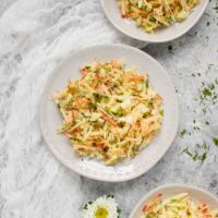 Apple Fennel Slaw with Lemon Dijon Vinaigrette
