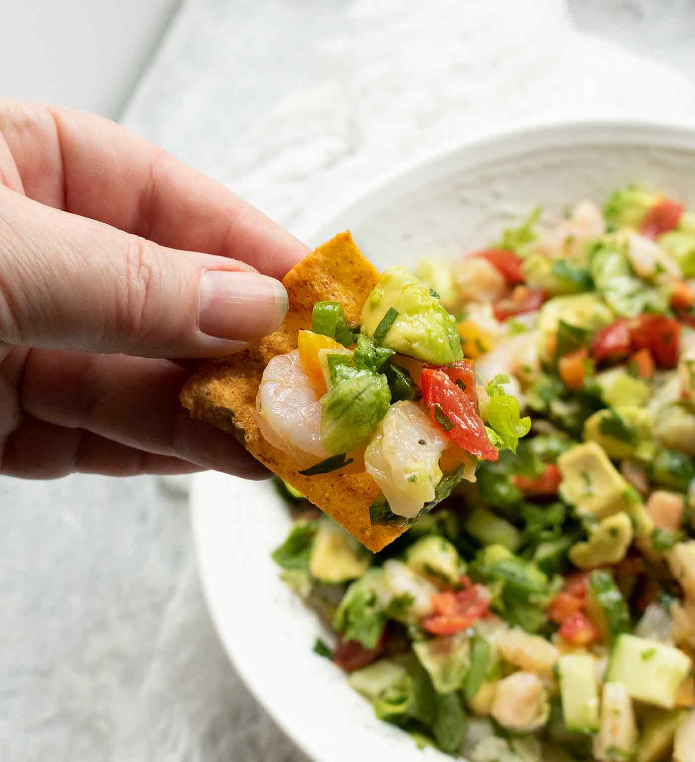 Avocado Shrimp Salsa on a chip.