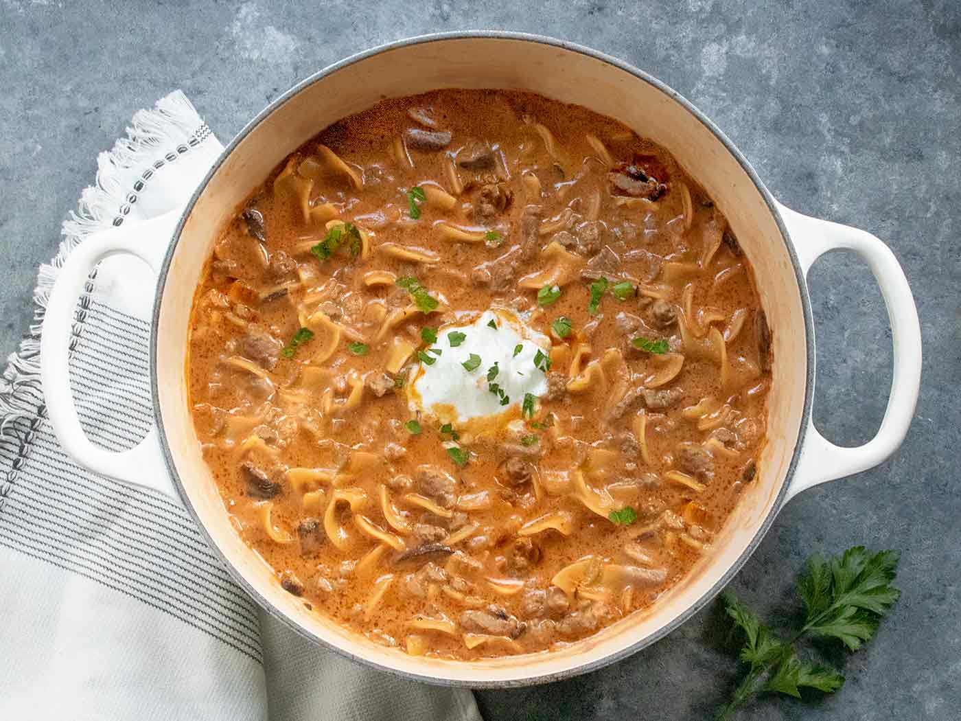 Beef Stroganoff Soup