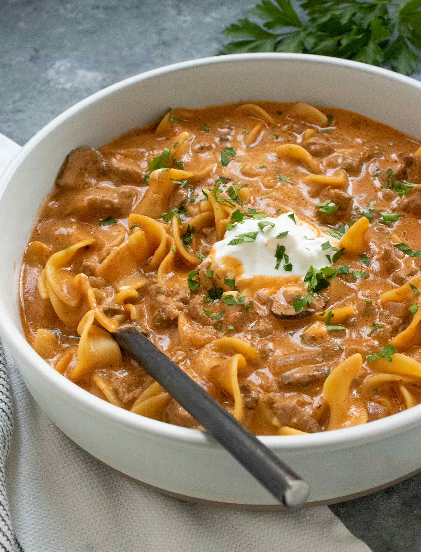 Side view of Beef Stroganoff Soup in a bowl with a spoon.