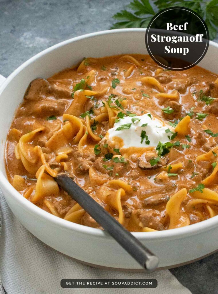 Beef Stroganoff Soup