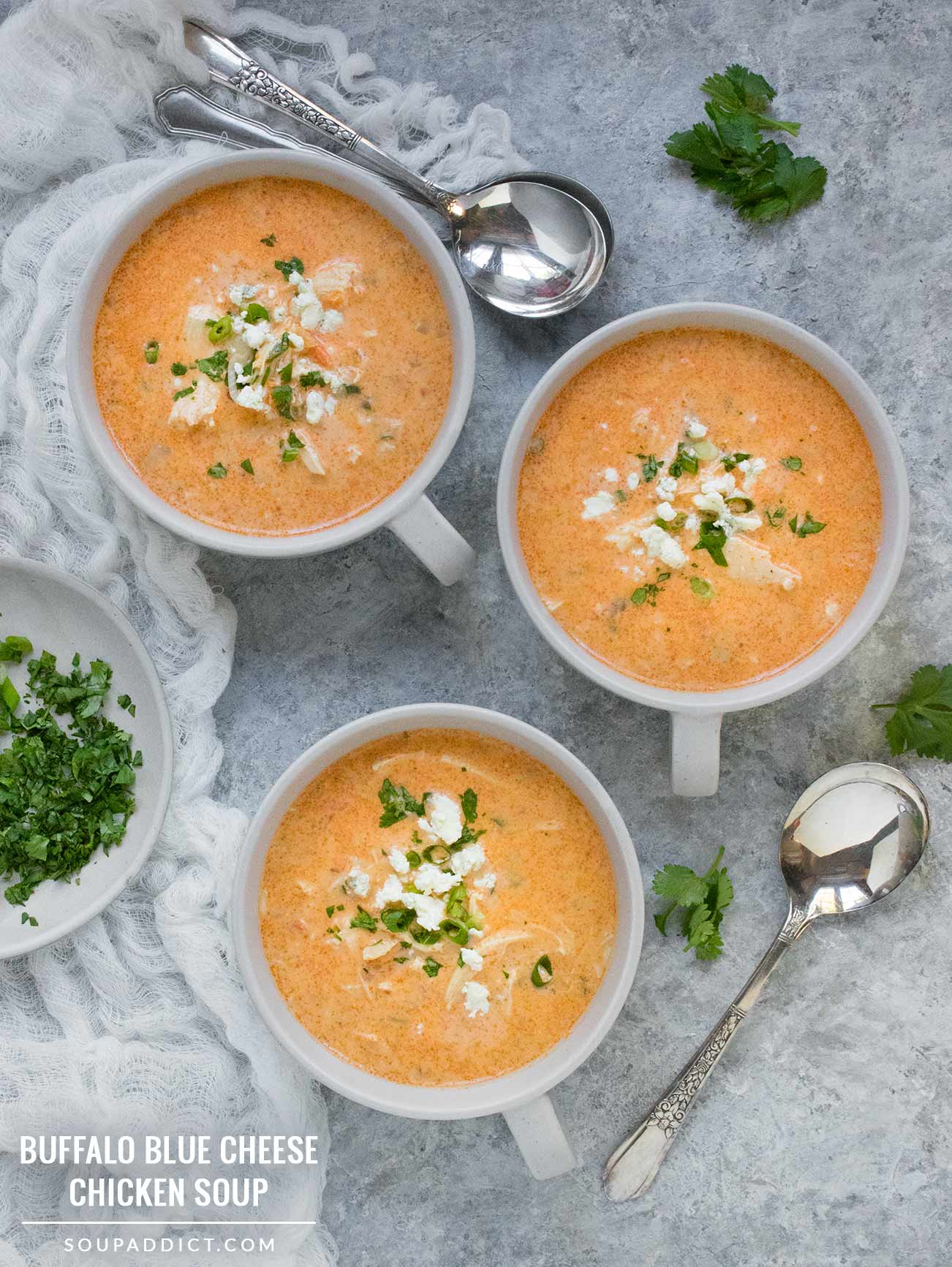 Buffalo Blue Cheese Chicken Soup - Recipe at SoupAddict.com