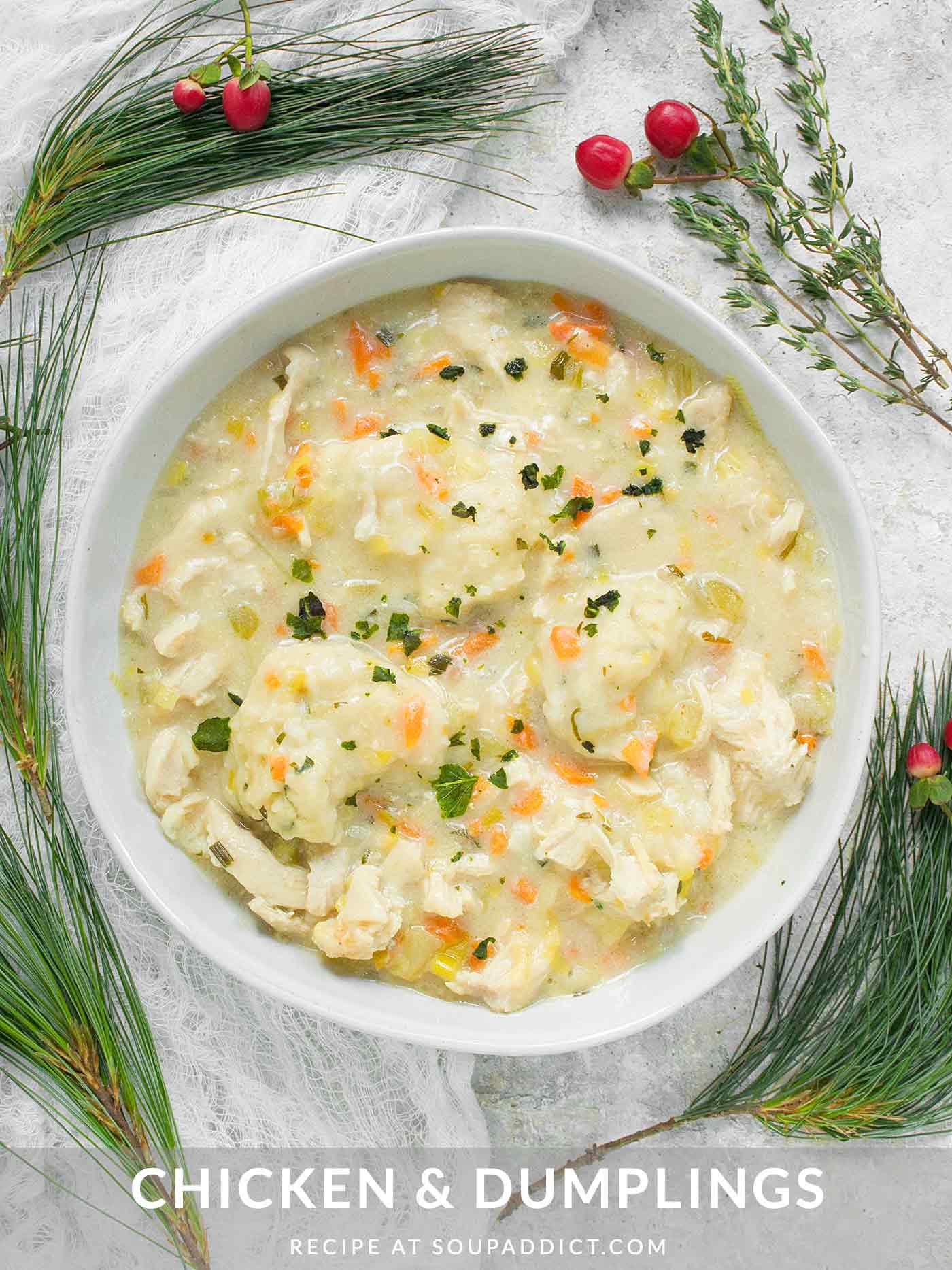 A bowl of Chicken and Dumplings