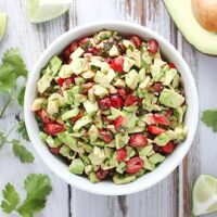 Cranberry Avocado Salsa | SoupAddict.com