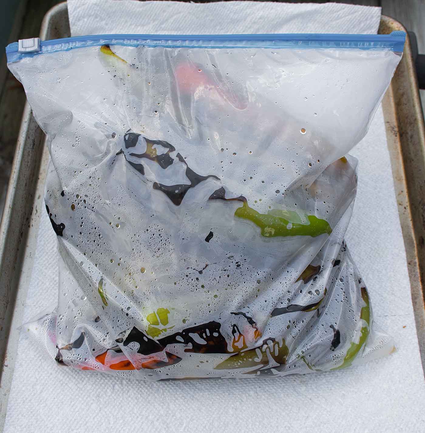Roasted Hatch chiles steaming in a zipper bag, for easy peeling