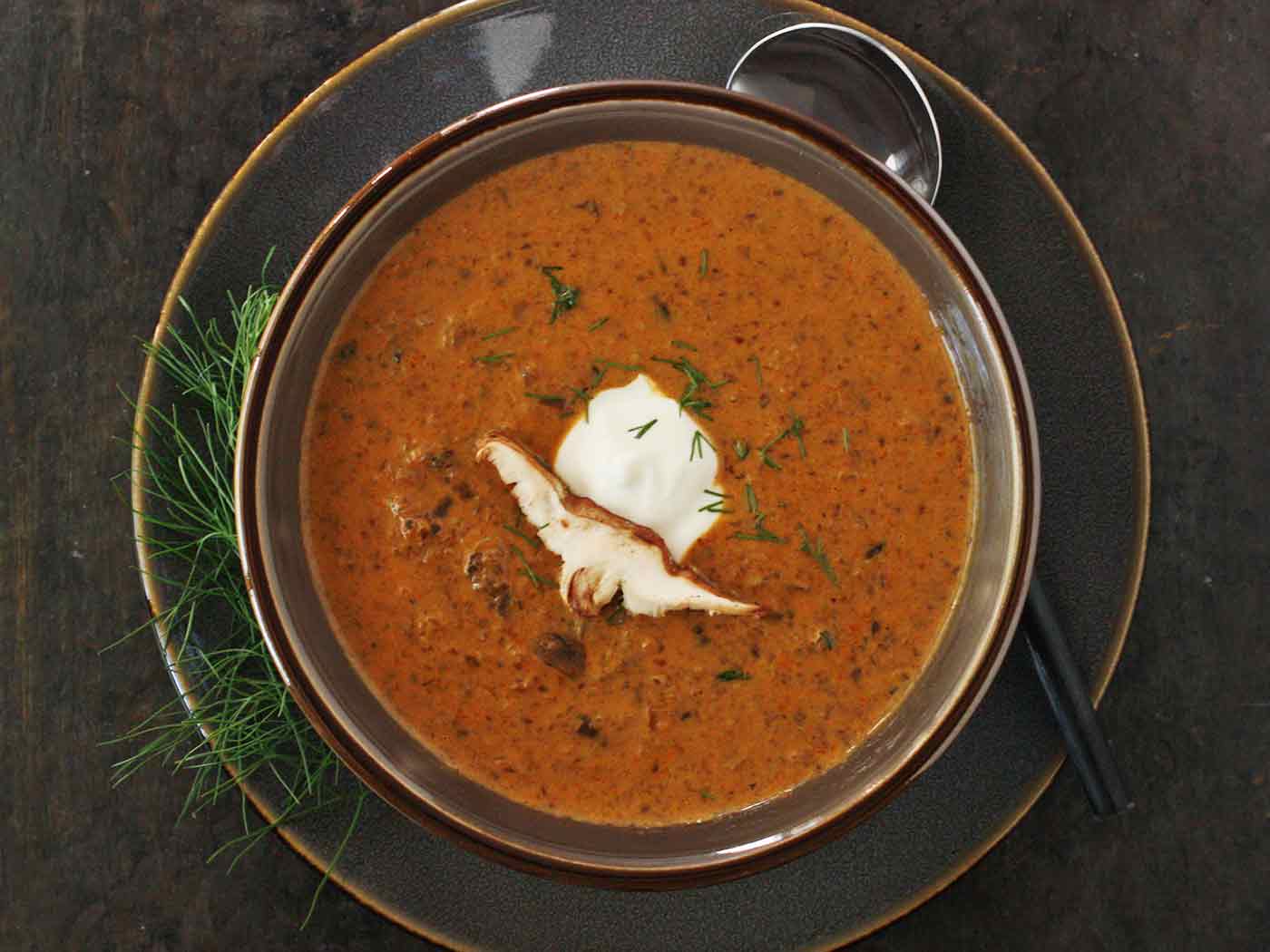 Hungarian Mushroom Soup