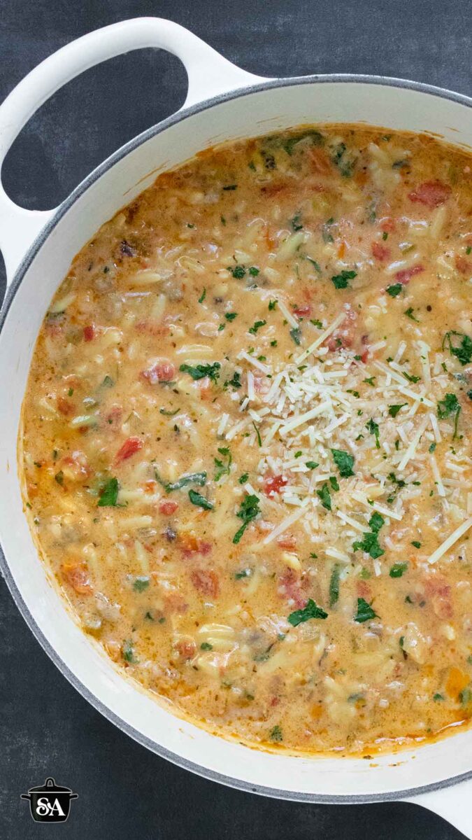 Pinterest pin image for Marry Me Sausage Orzo Soup recipe.