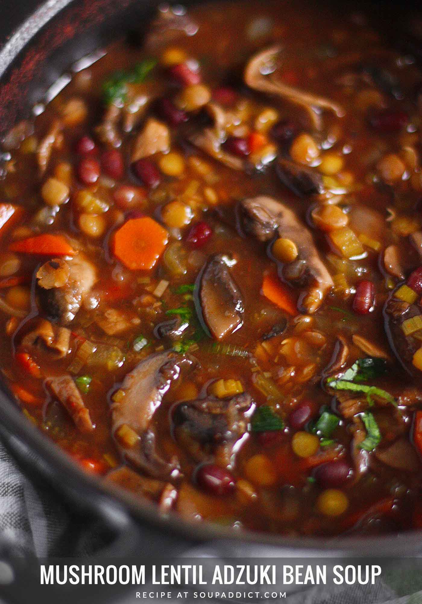 Close-up Mushroom Lentil Adzuki Bean in a Dutch oven