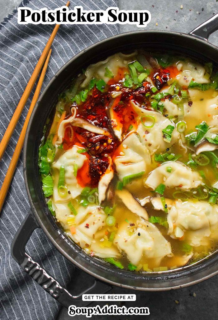 Potsticker Soup
