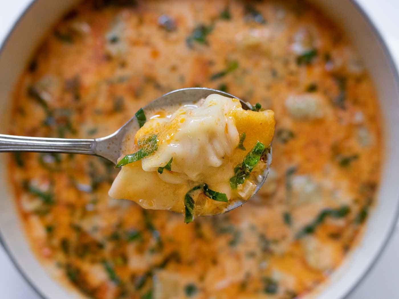 Close-up of a pork dumpling on a soup spoon, with the pot of soup in the background.