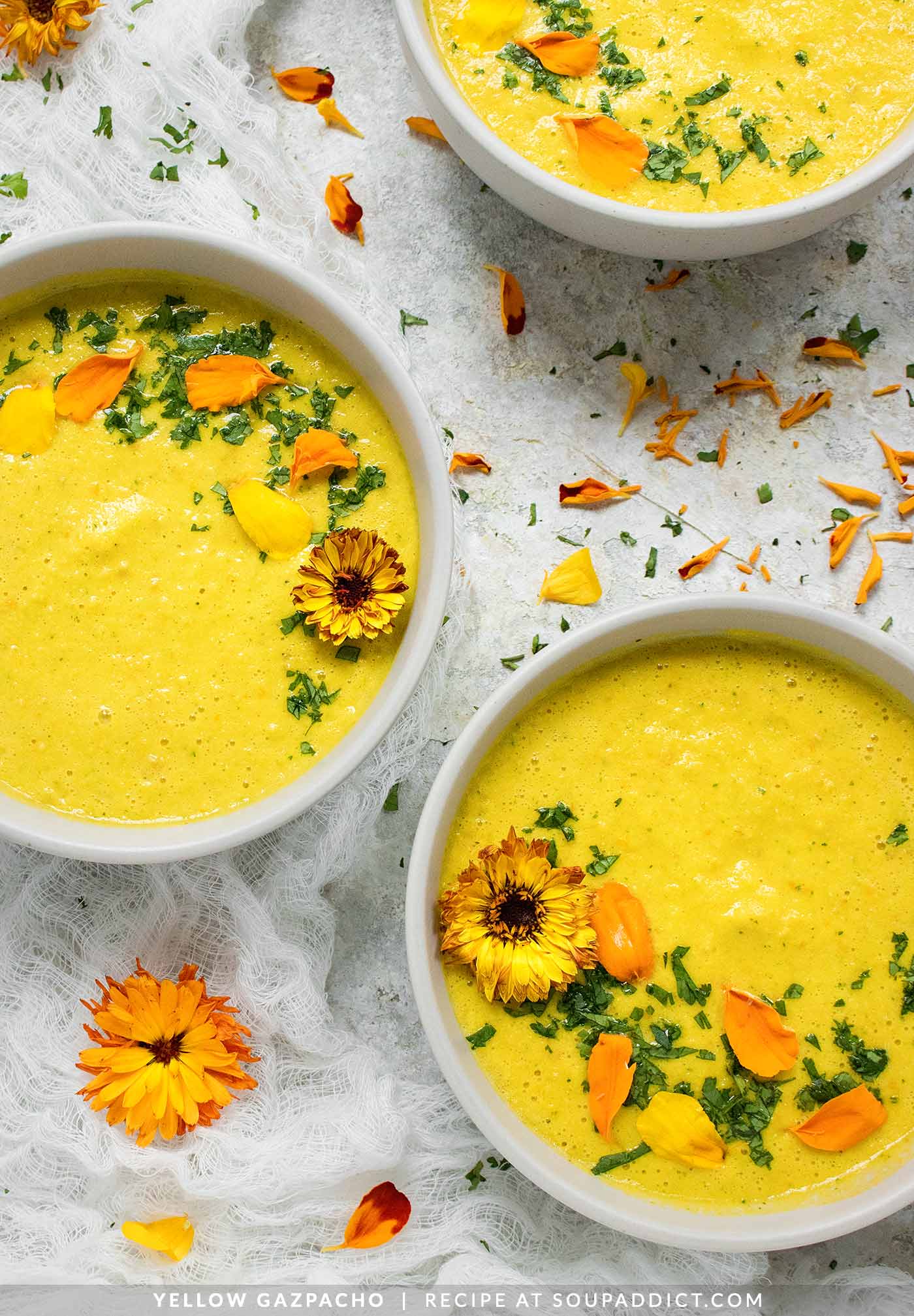 Yellow Gazpacho - The Best Summer Gazpacho - Recipe at SoupAddict.com